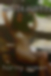 Horny women Tuscaloosa